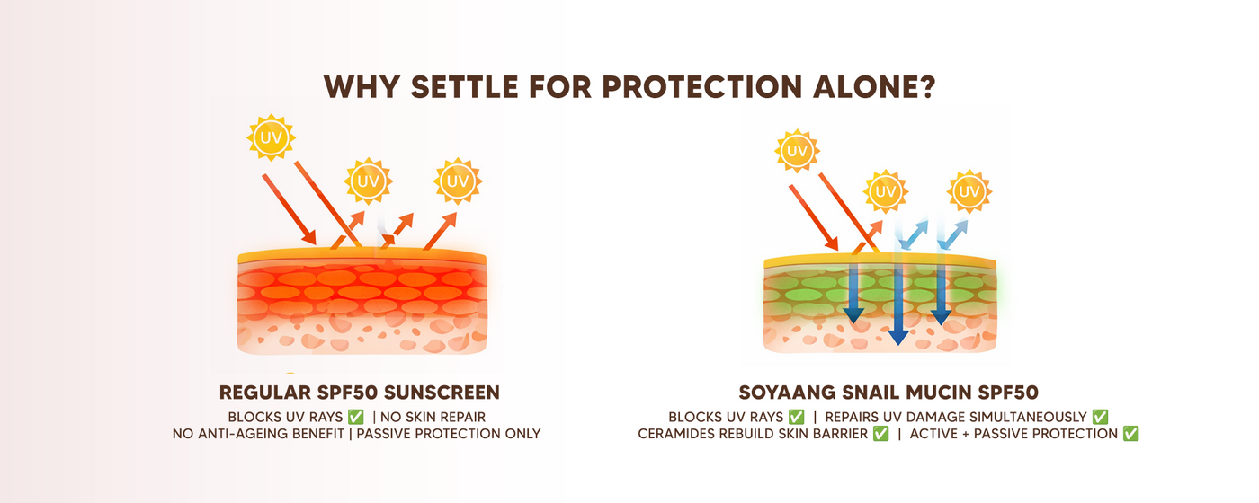 Ultralight Snail Mucin SPF50 PA+++ Sunscreen with Ceramides, Zinc Oxide & Green Tea