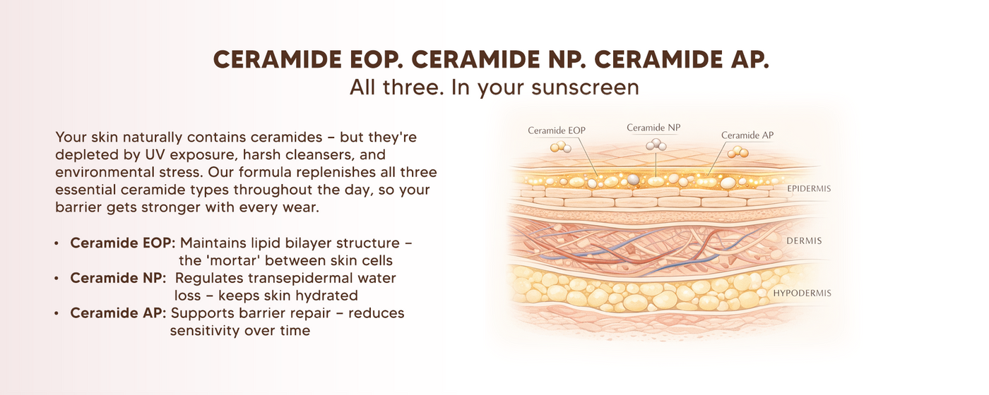 Ultralight Snail Mucin SPF50 PA+++ Sunscreen with Ceramides, Zinc Oxide & Green Tea