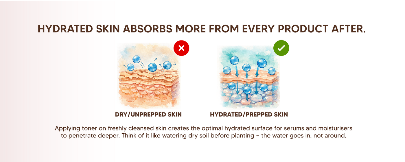 Advanced Snail Mucin Hydrating Toner with Aloe Vera, Allantoin & Panthenol