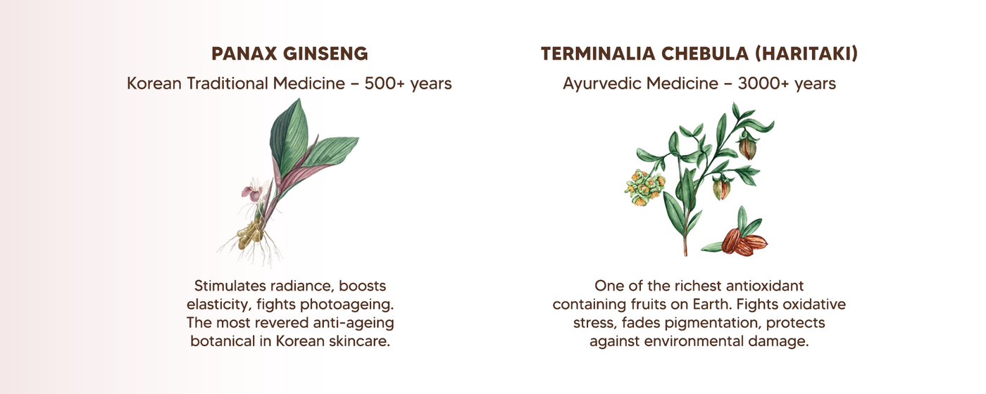 Pure Centella Nourishing Moisturiser with Ceramides, Squalane, Niacinamide & Ginseng